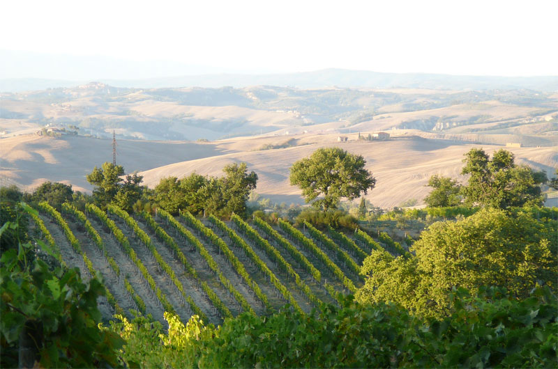 Tour en Vespa en Toscane